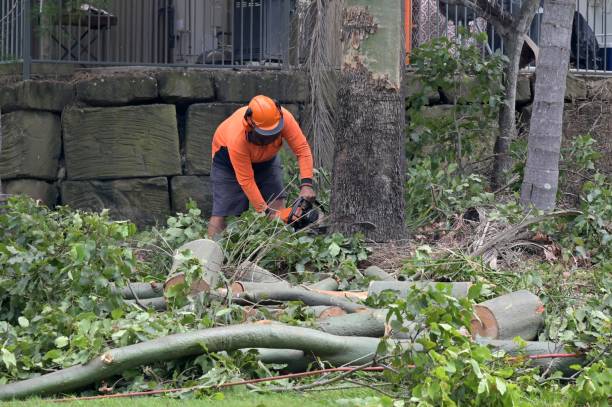 Best Tree Risk Assessment  in Bardmoor, FL